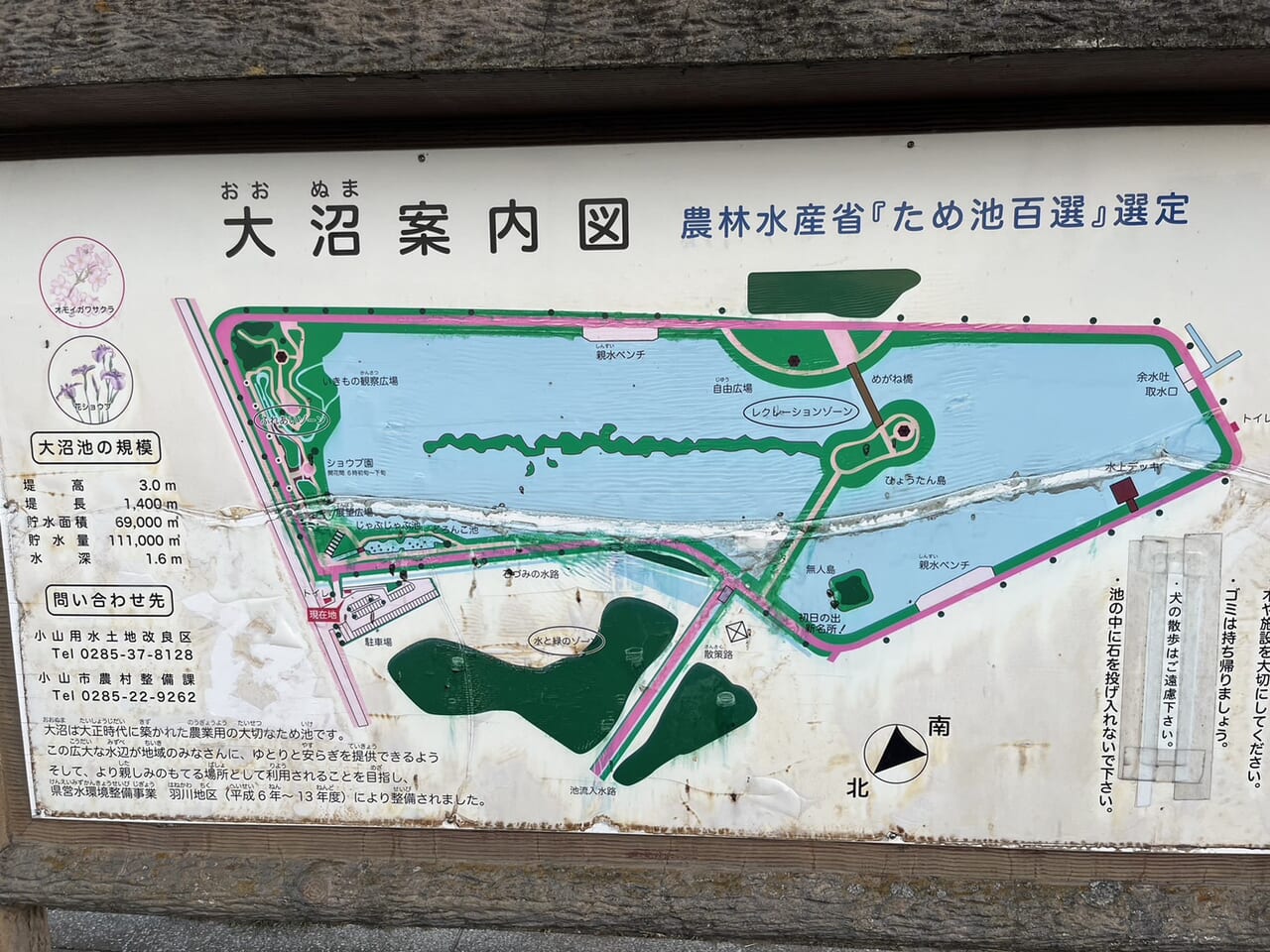 大沼親水公園地図