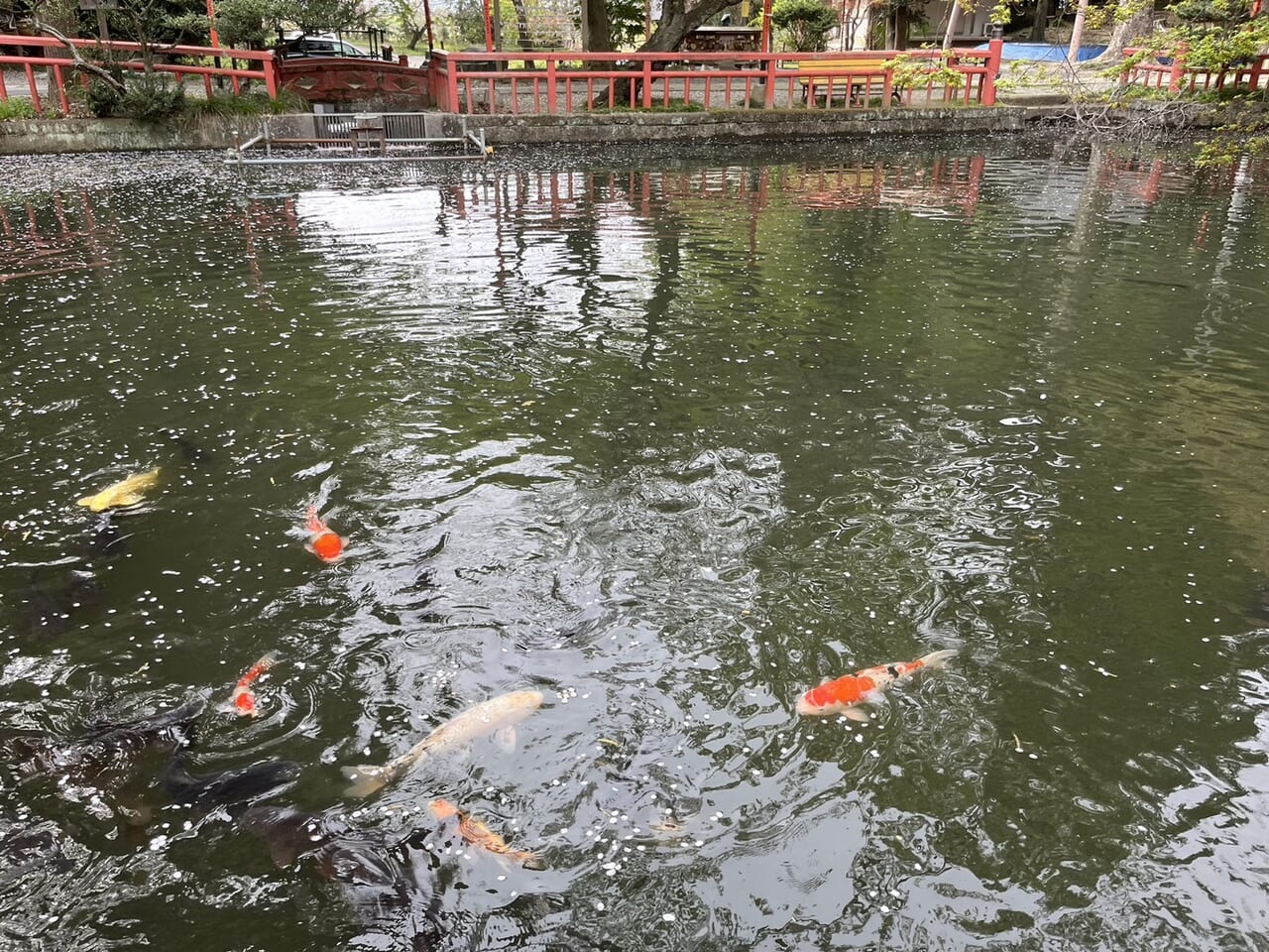 間々田八幡宮の池