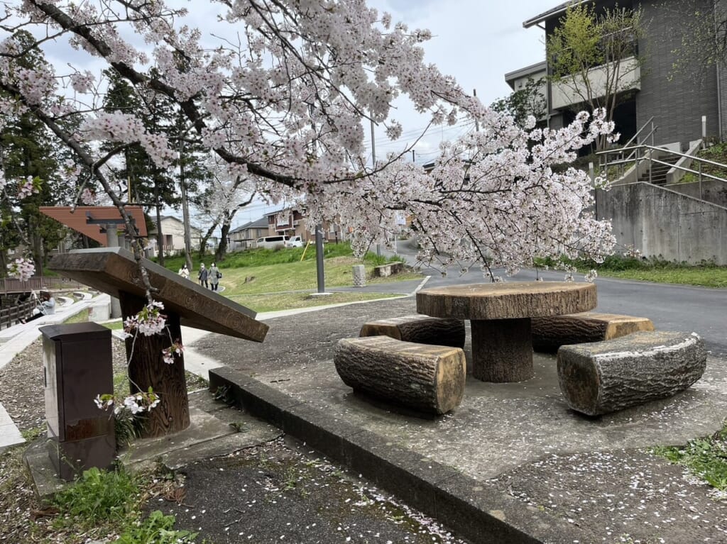 間々田八幡宮の桜の様子