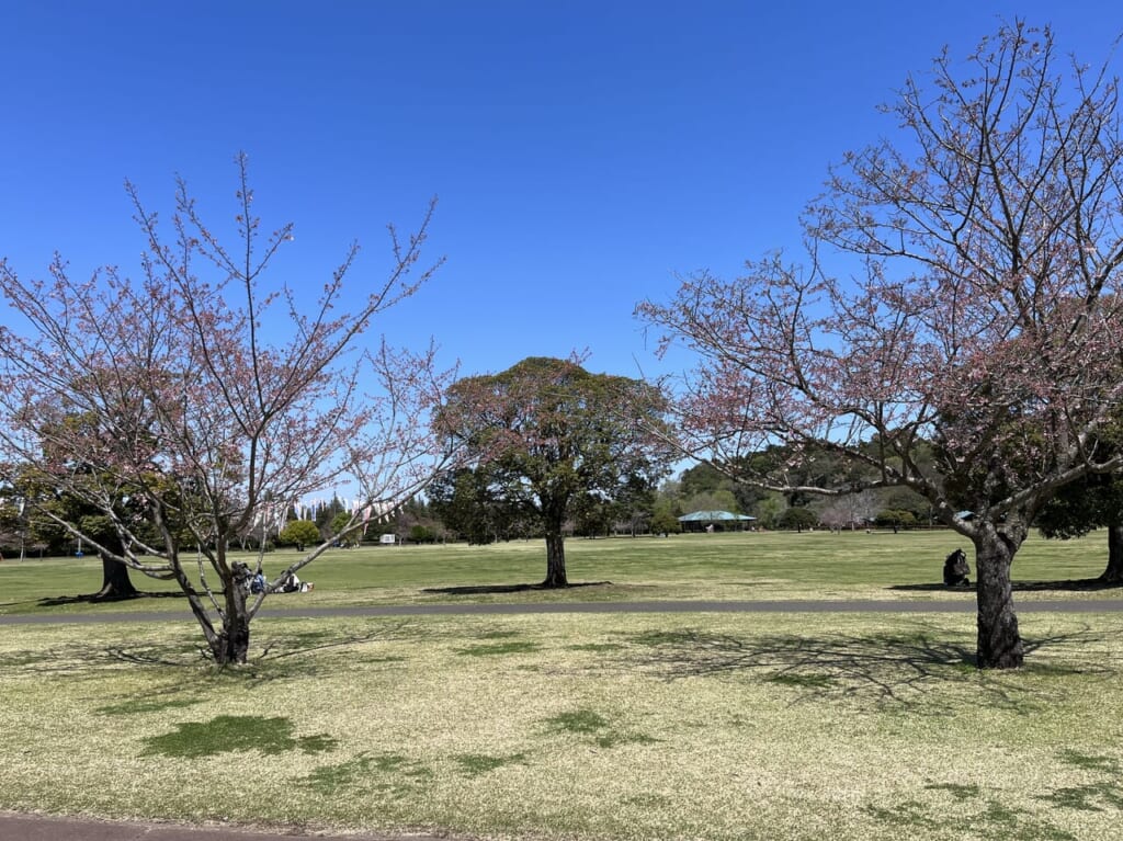 小山総合公園