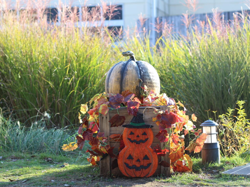 おやまゆうえんハーヴェストウォークハロウィン