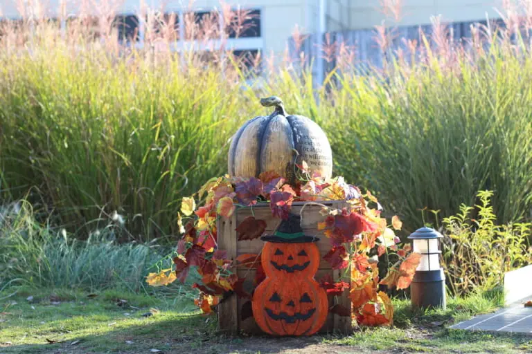 おやまゆうえんハーヴェストウォークハロウィン