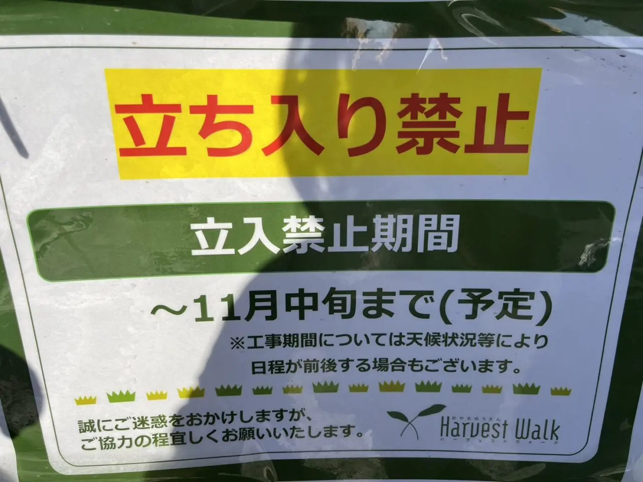 芝生広場立ち入り禁止のお知らせ