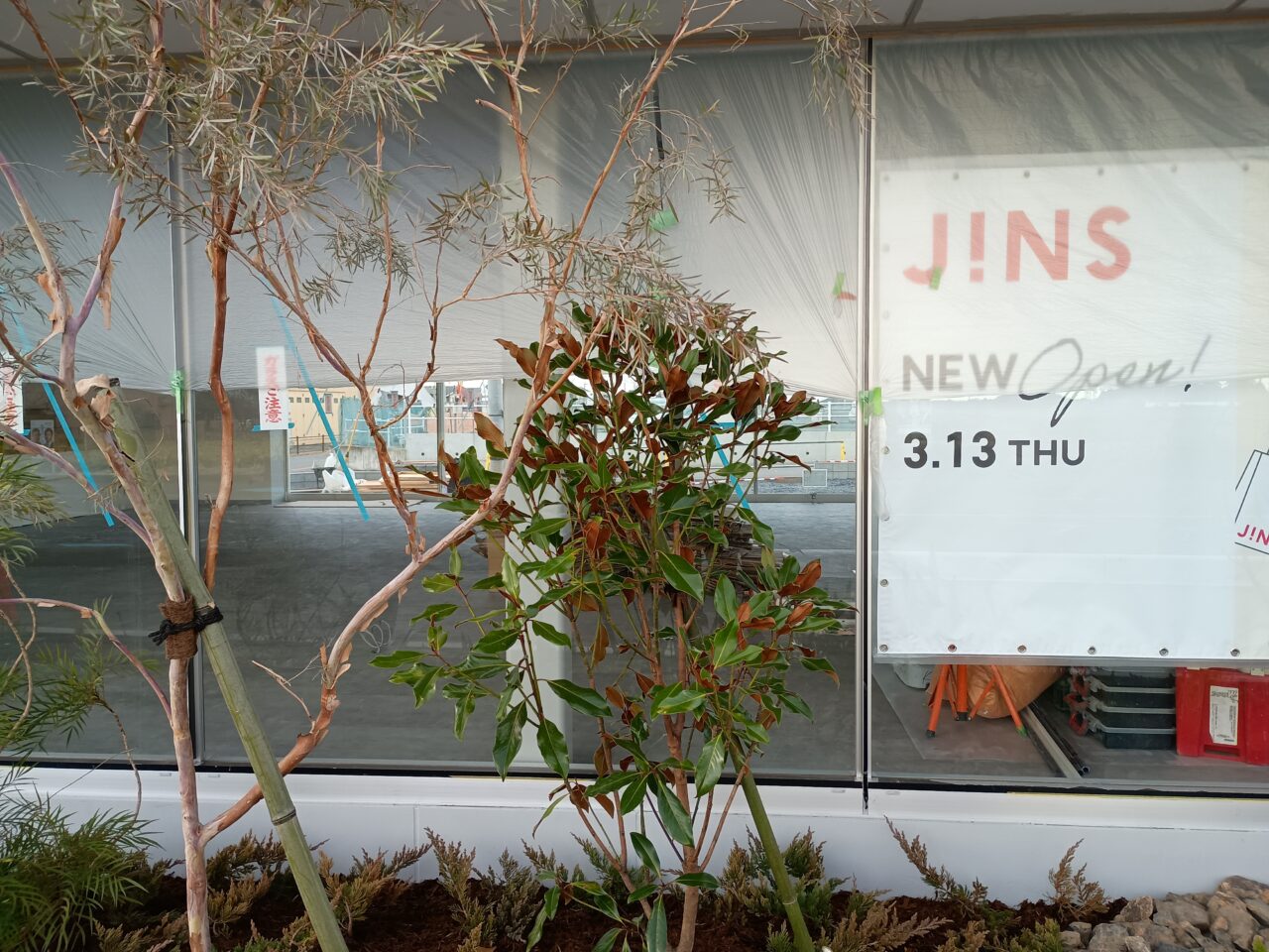 JINS雨が谷店オープン