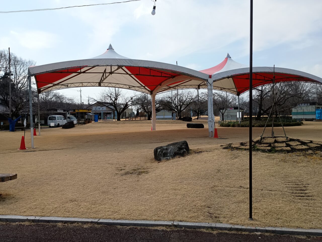 天平の丘公園で天平の花まつり開催