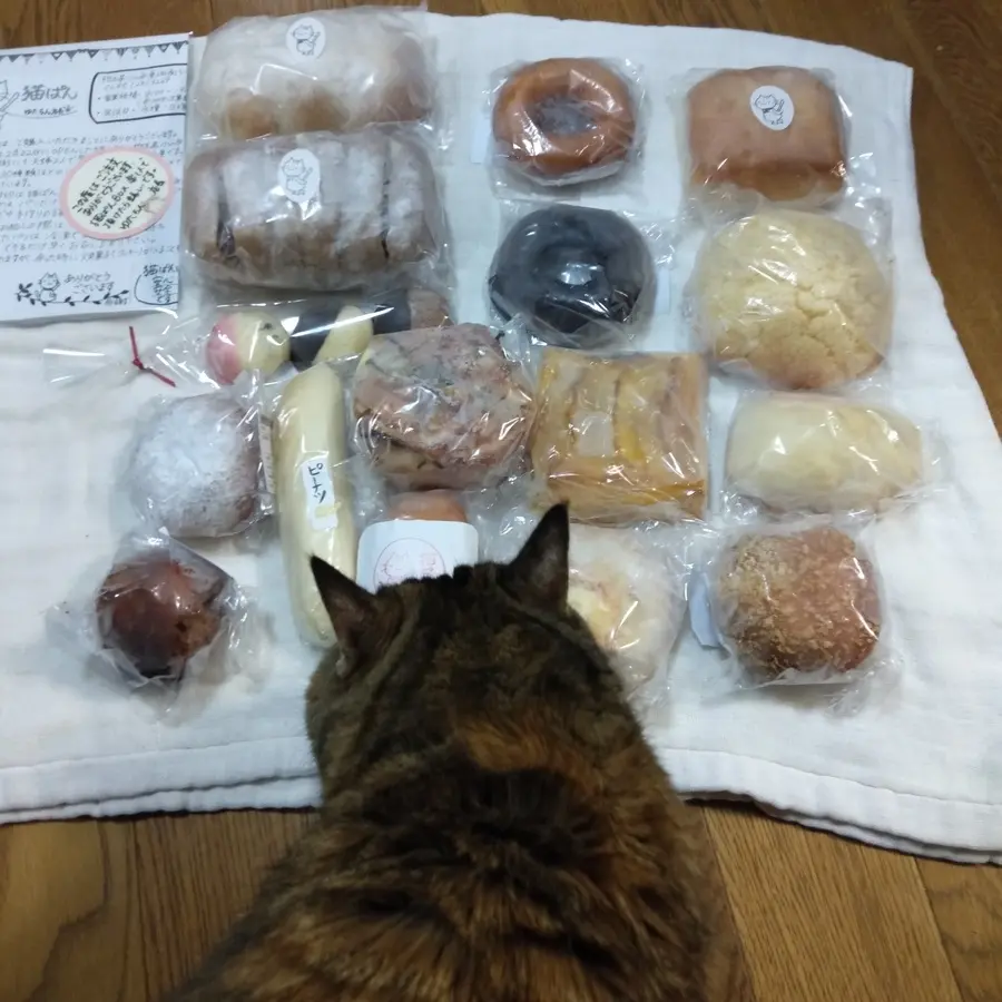 rebake新人賞を受賞した猫ぱん