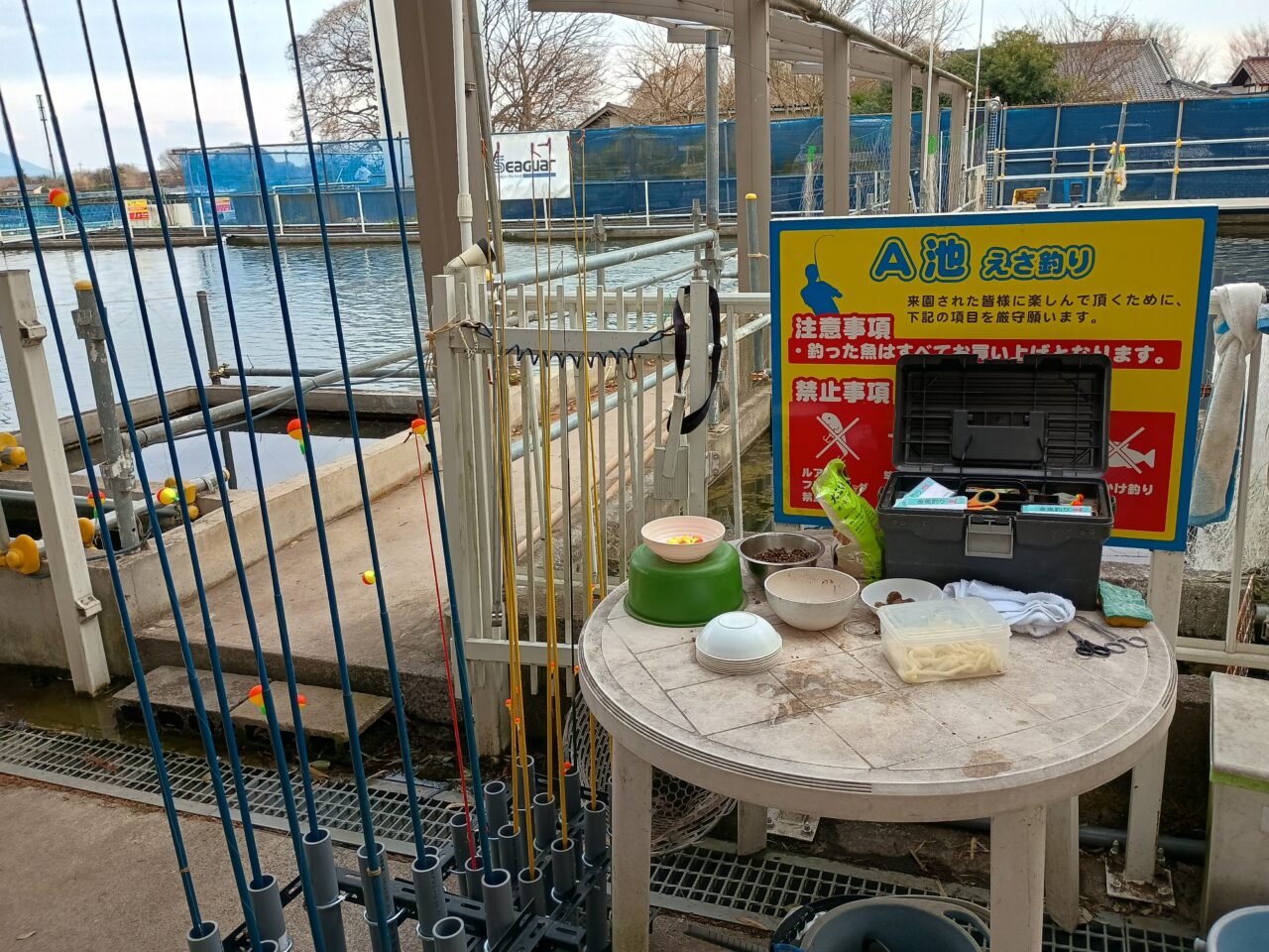 OyamaWaterPark遊水園の金魚釣り