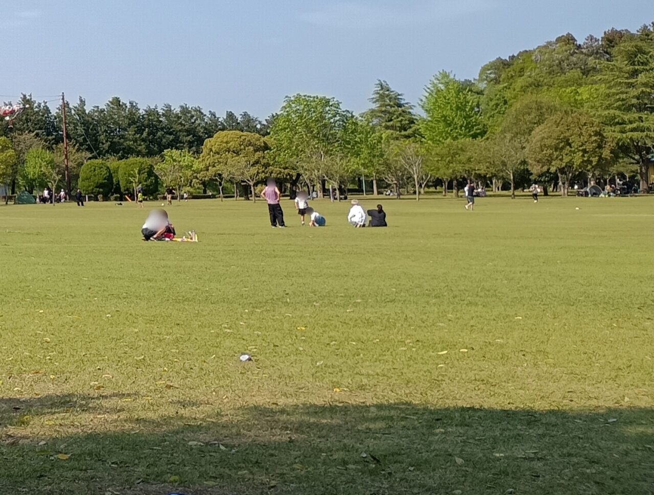 小山総合公園の原っぱ