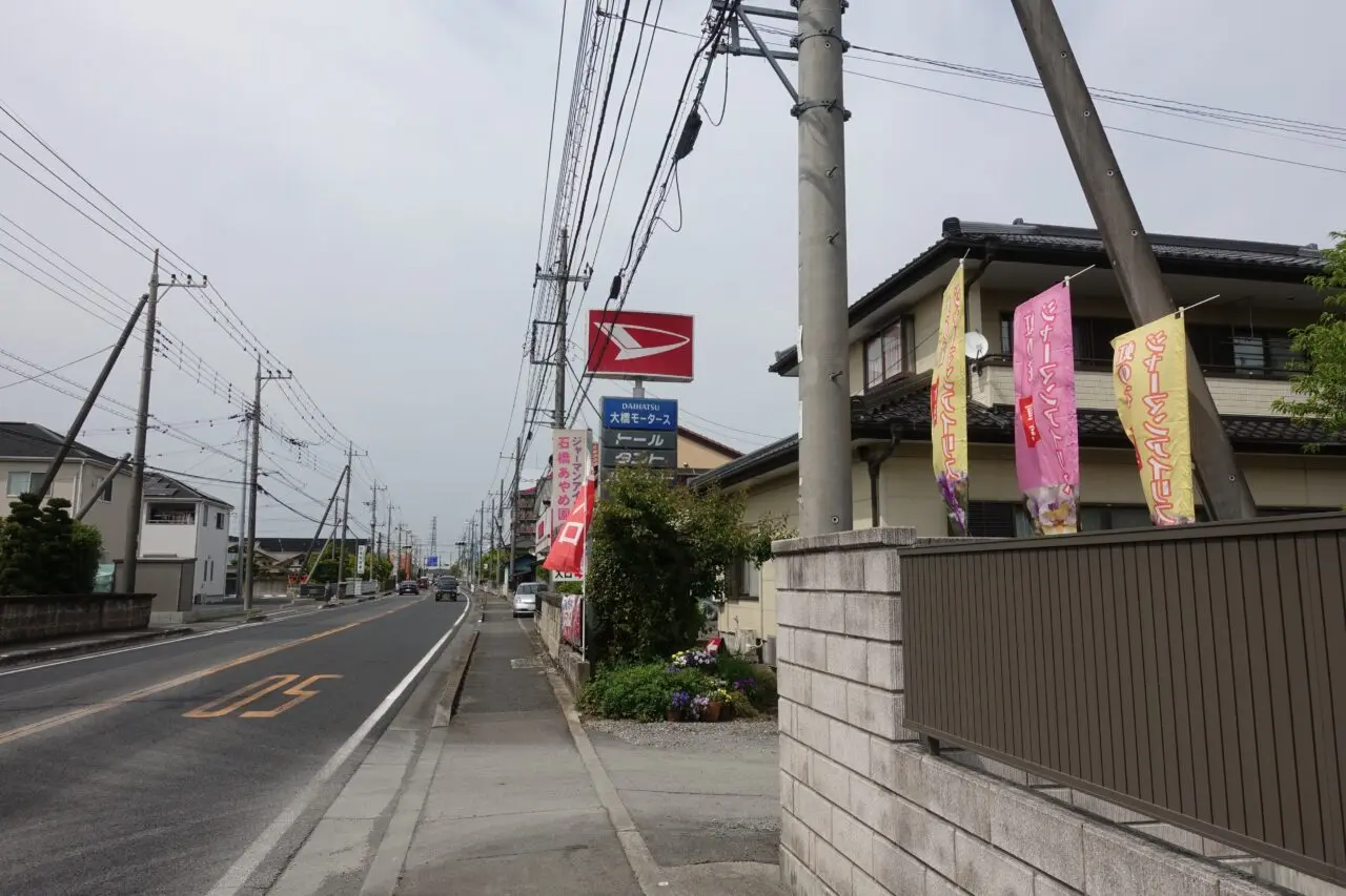 石橋あやめ園のジャーマンアイリス