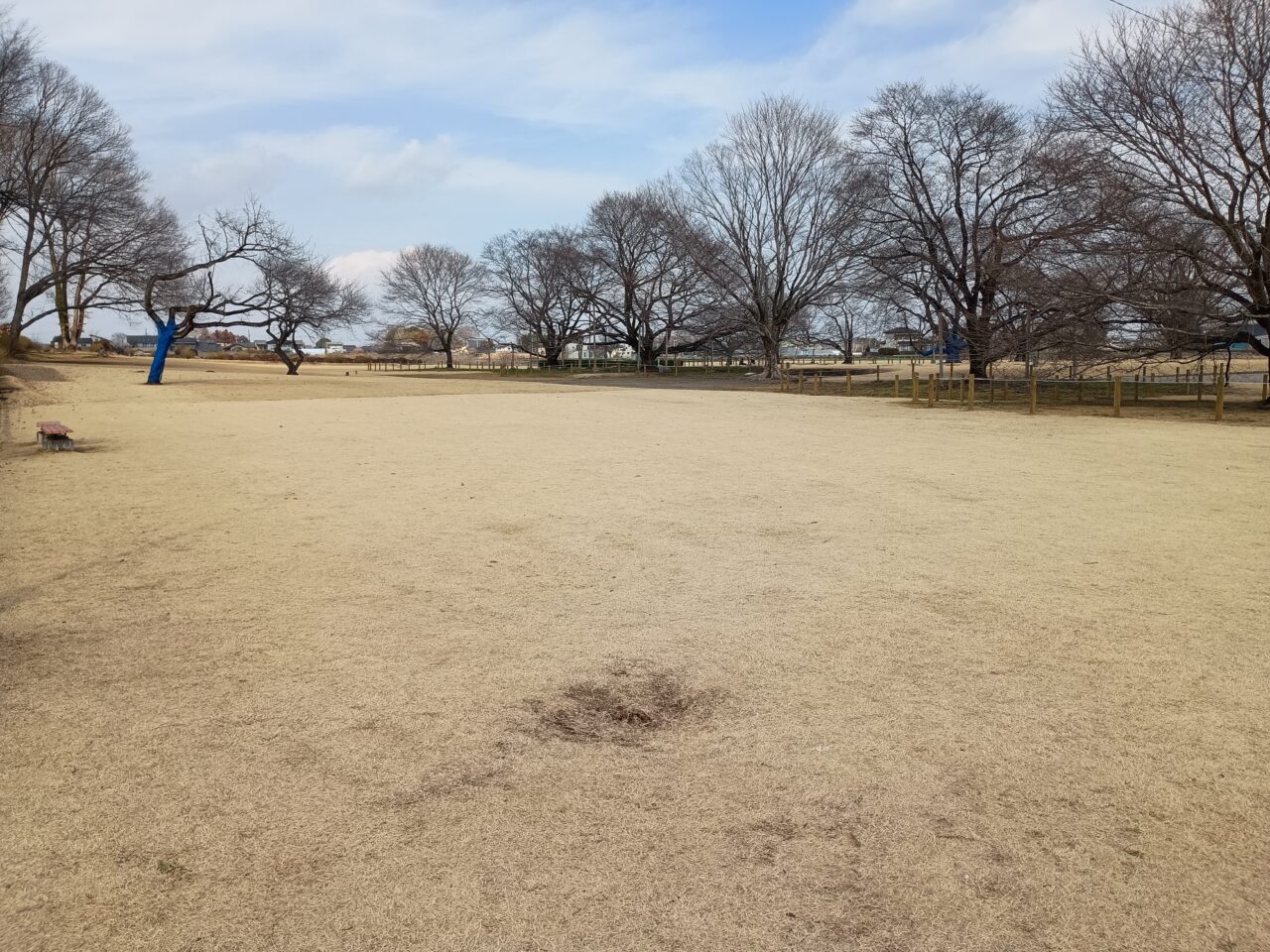 天平の丘公園