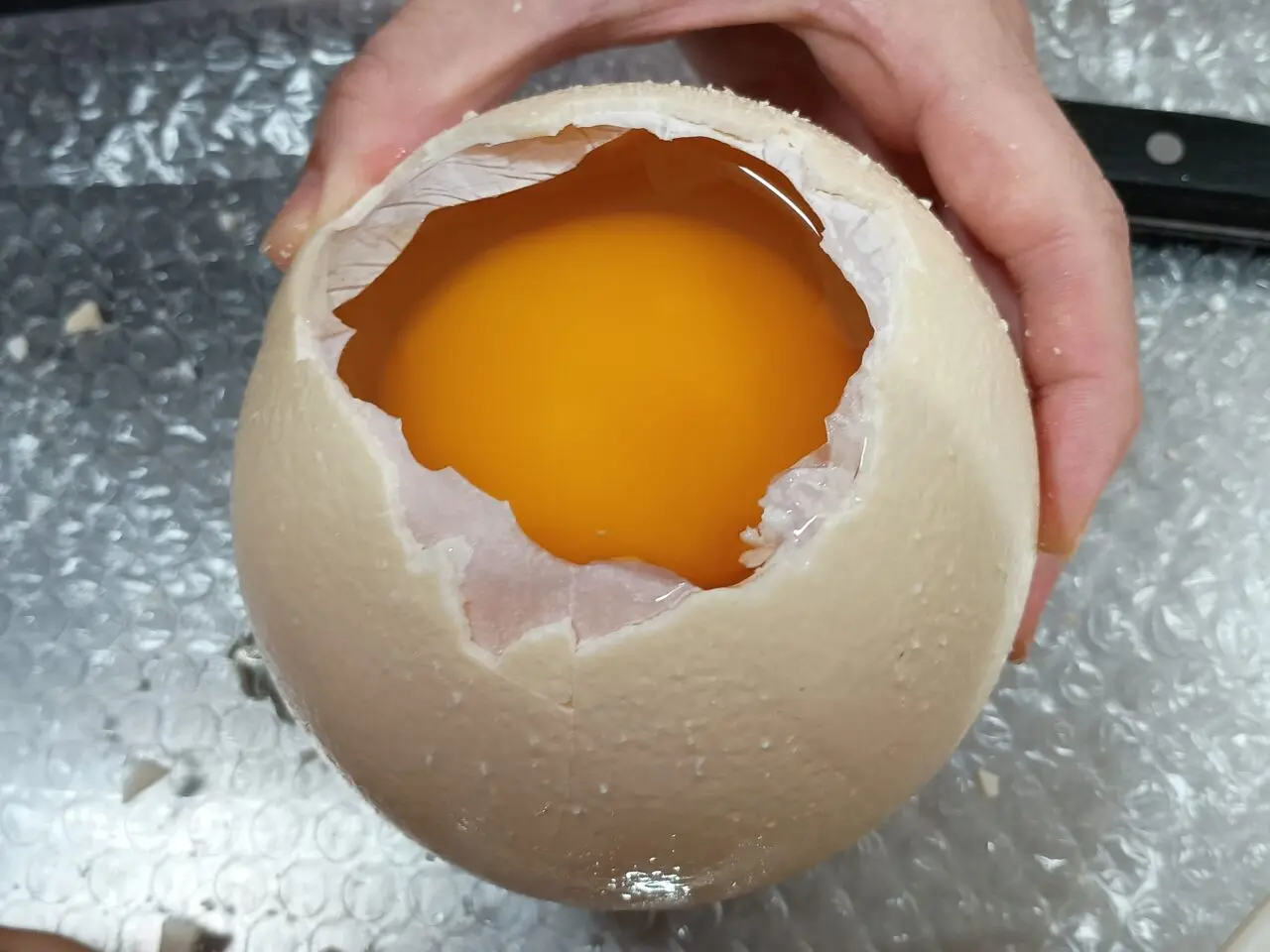 小山だちょう園の卵
