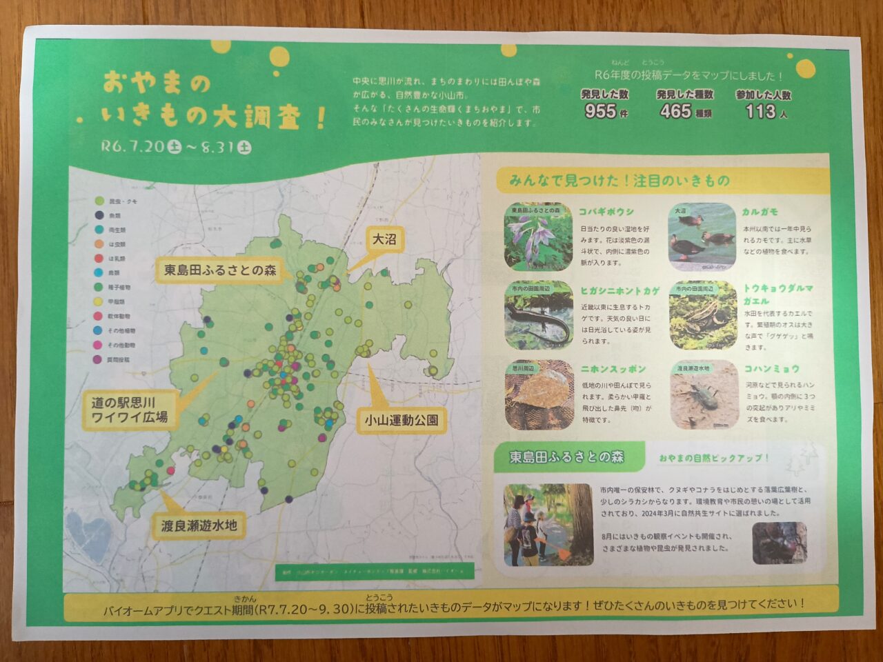 おやまいきものクエスト2025