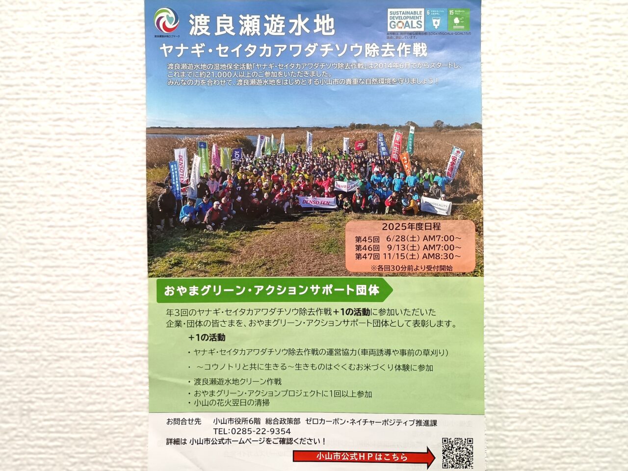 渡良瀬遊水地 ヤナギ・セイタカアワダチソウ除去作戦