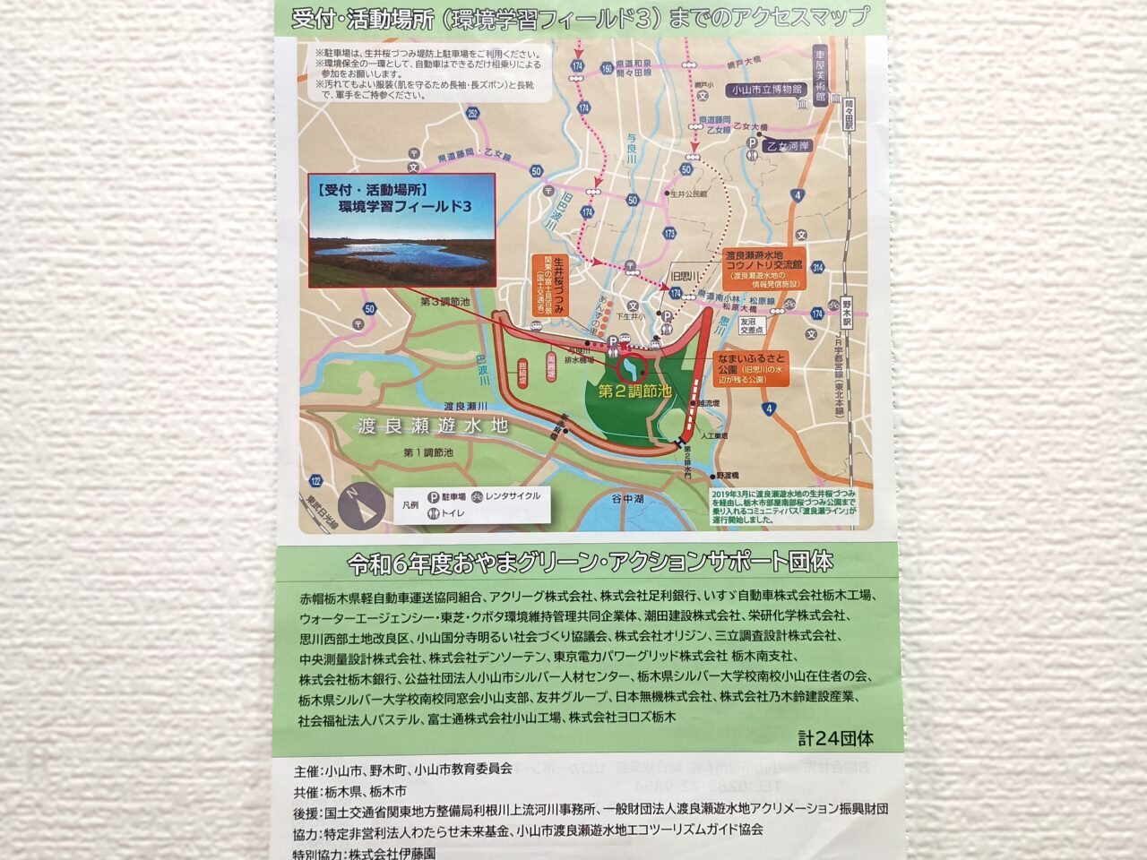 渡良瀬遊水地 ヤナギ・セイタカアワダチソウ除去作戦
