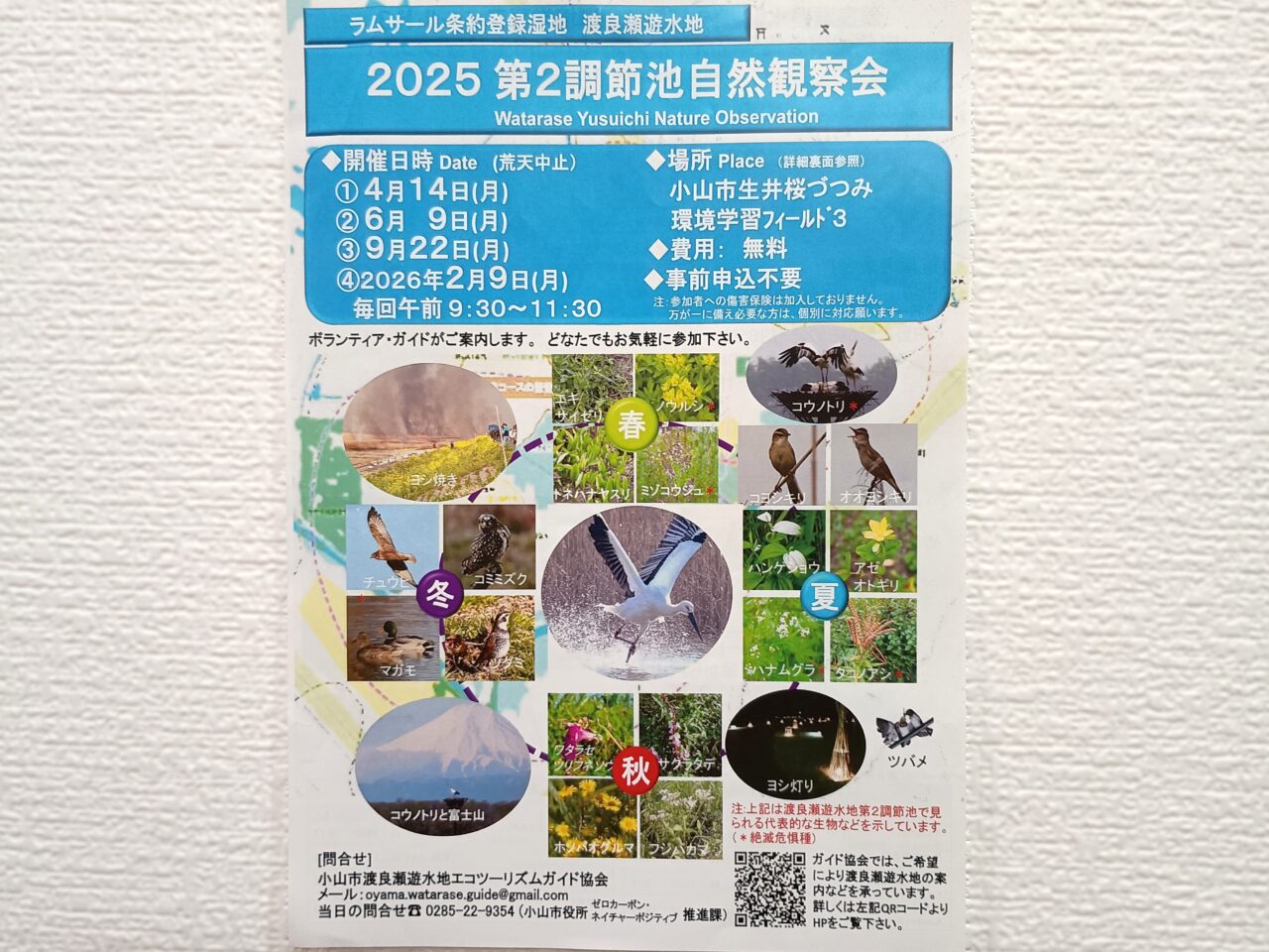 第2調節池 自然観察会