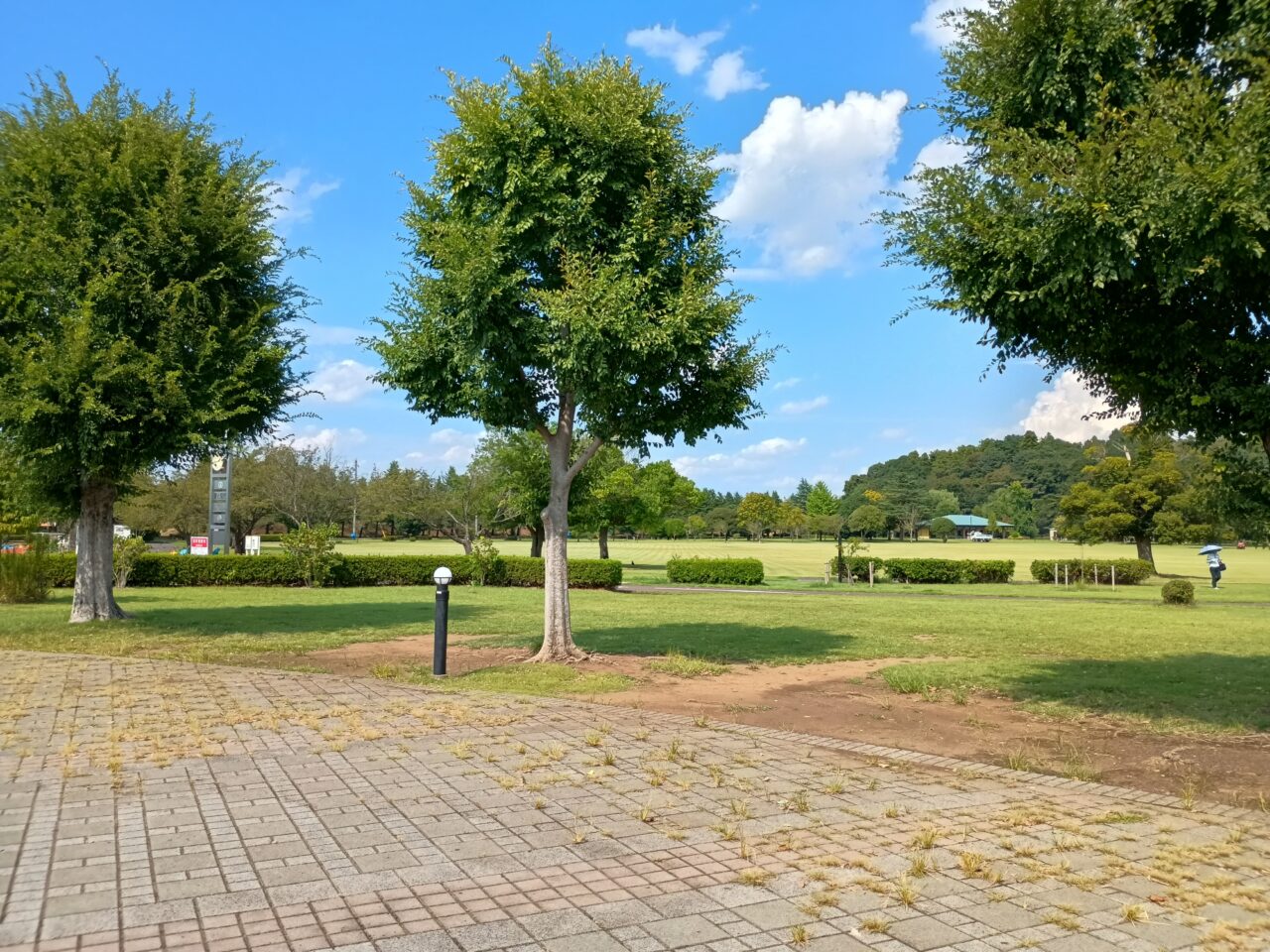 小山総合公園