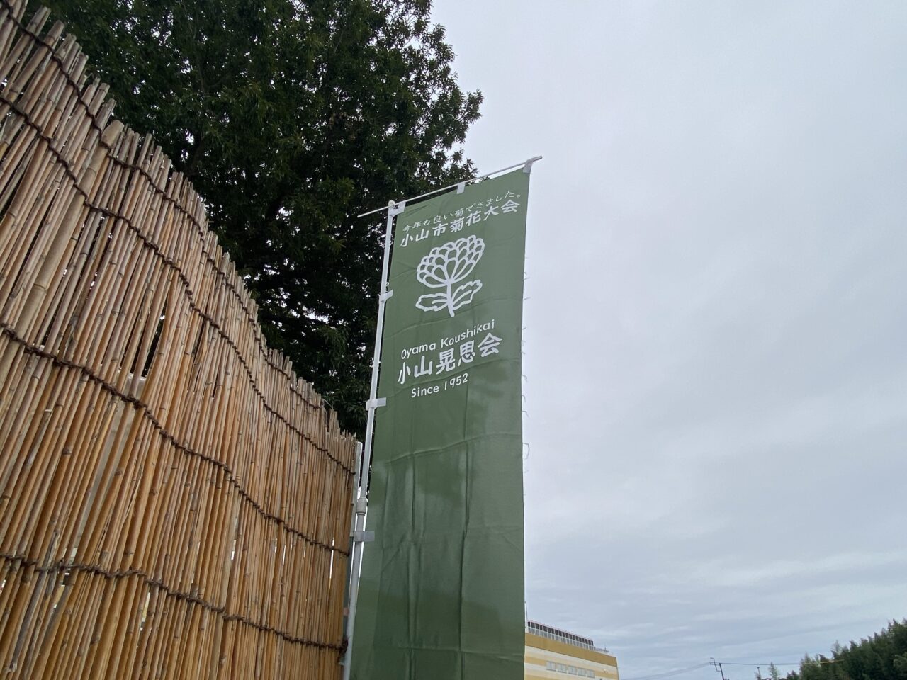 第74回小山市菊花大会