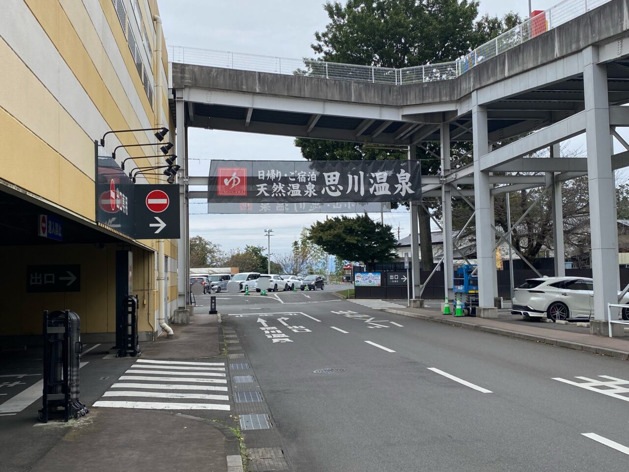 第74回小山市菊花大会