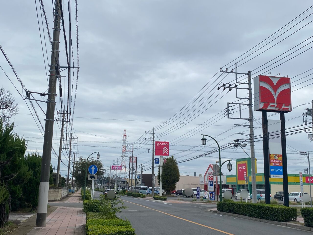 コスモス野木店