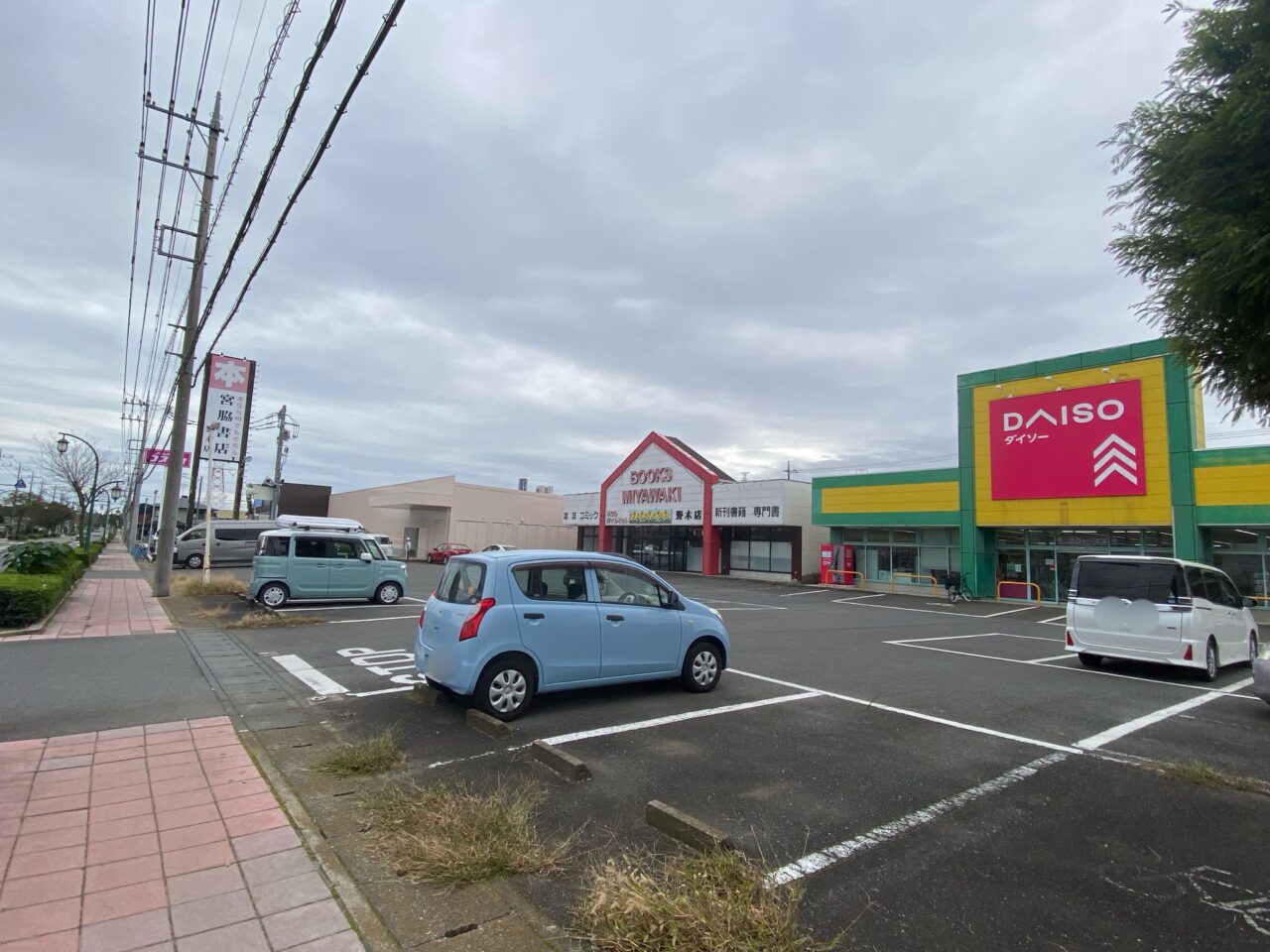コスモス野木店