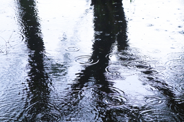 雨のイメージ写真