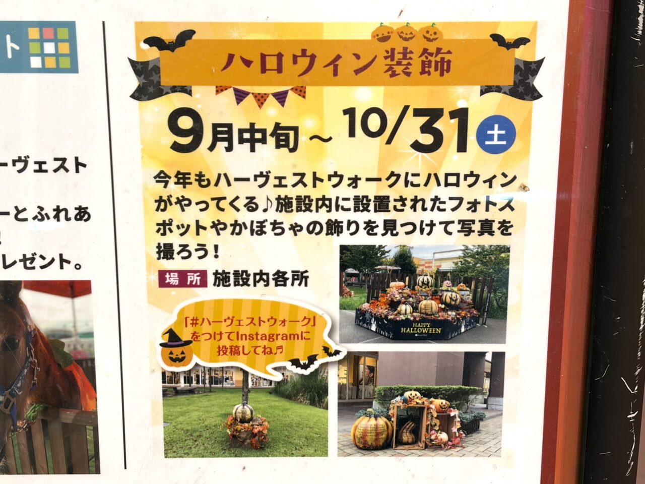 ハーヴェストウォークにてハロウィン装飾が実施
