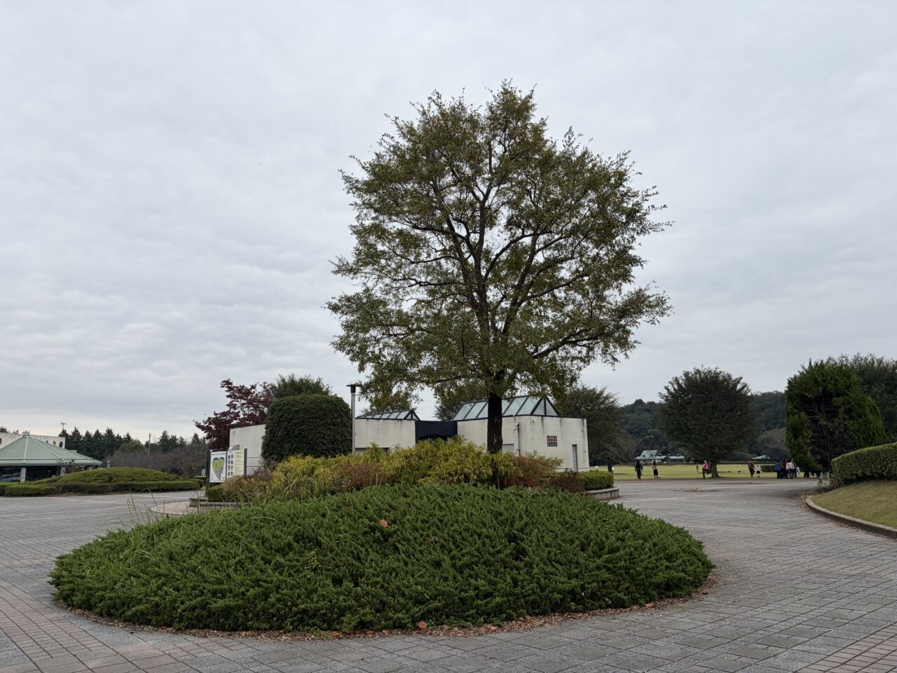 小山総合公園内の写真